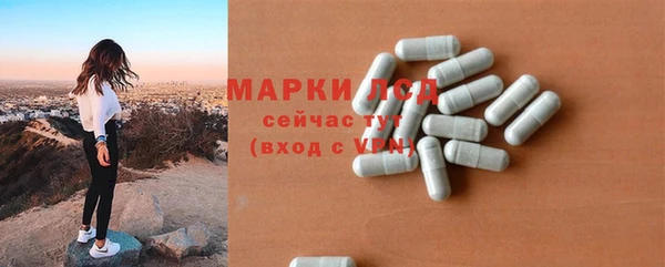 прущие грибы Алексин
