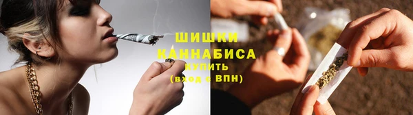 прущие грибы Алексин