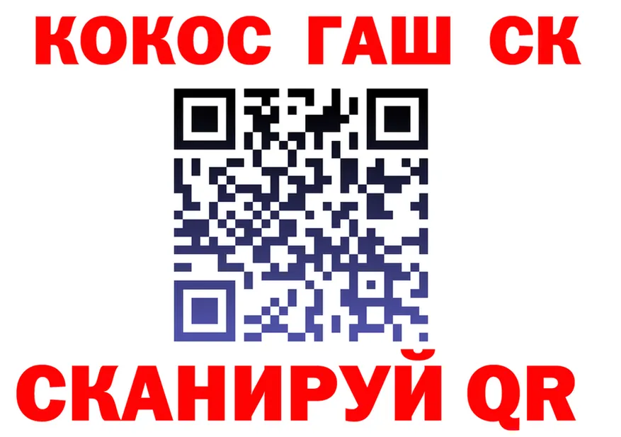 A PVP СК зеркало дарк нет гидра Курск