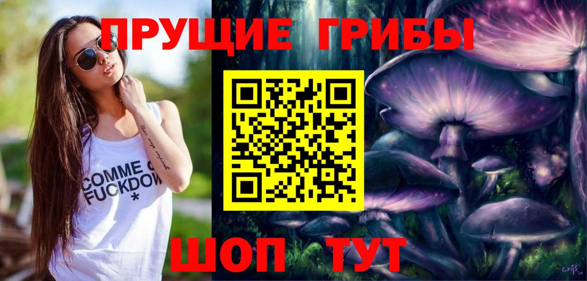 Псилоцибиновые грибы Psilocybe Курск