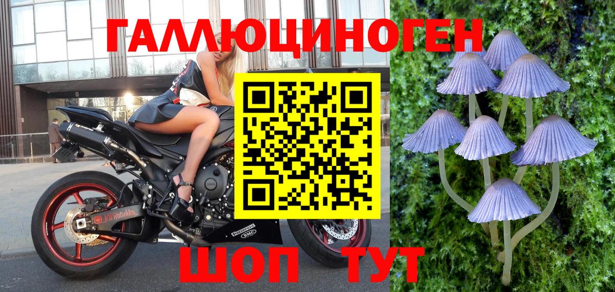закладка  Вход с VPN  Курск  Псилоцибиновые грибы мухоморы 